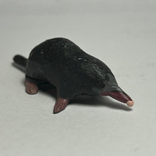 Cargar imagen en el visor de la galería, Himizu / Japanese shrew mole - Trading Figure - Miniature - 016C - Cuchiwaii
