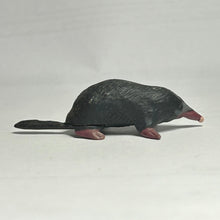 Cargar imagen en el visor de la galería, Himizu / Japanese shrew mole - Trading Figure - Miniature - 016C - Cuchiwaii
