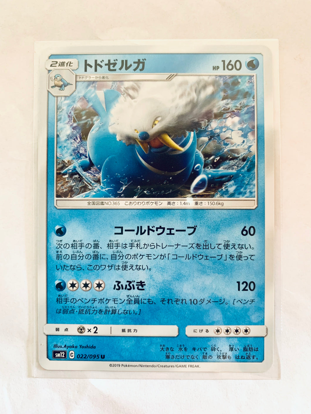 Pokémon TCG Sun & Moon EP Alter Genesis - Walrein - SM12 022/095 U - Uncommon