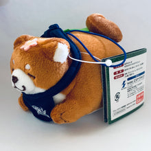 Cargar imagen en el visor de la galería, Faithful dog / Chuuken Mochi Shiba - Okaka - Mochi Mochi Sakura Mochi Mascot - Plush
