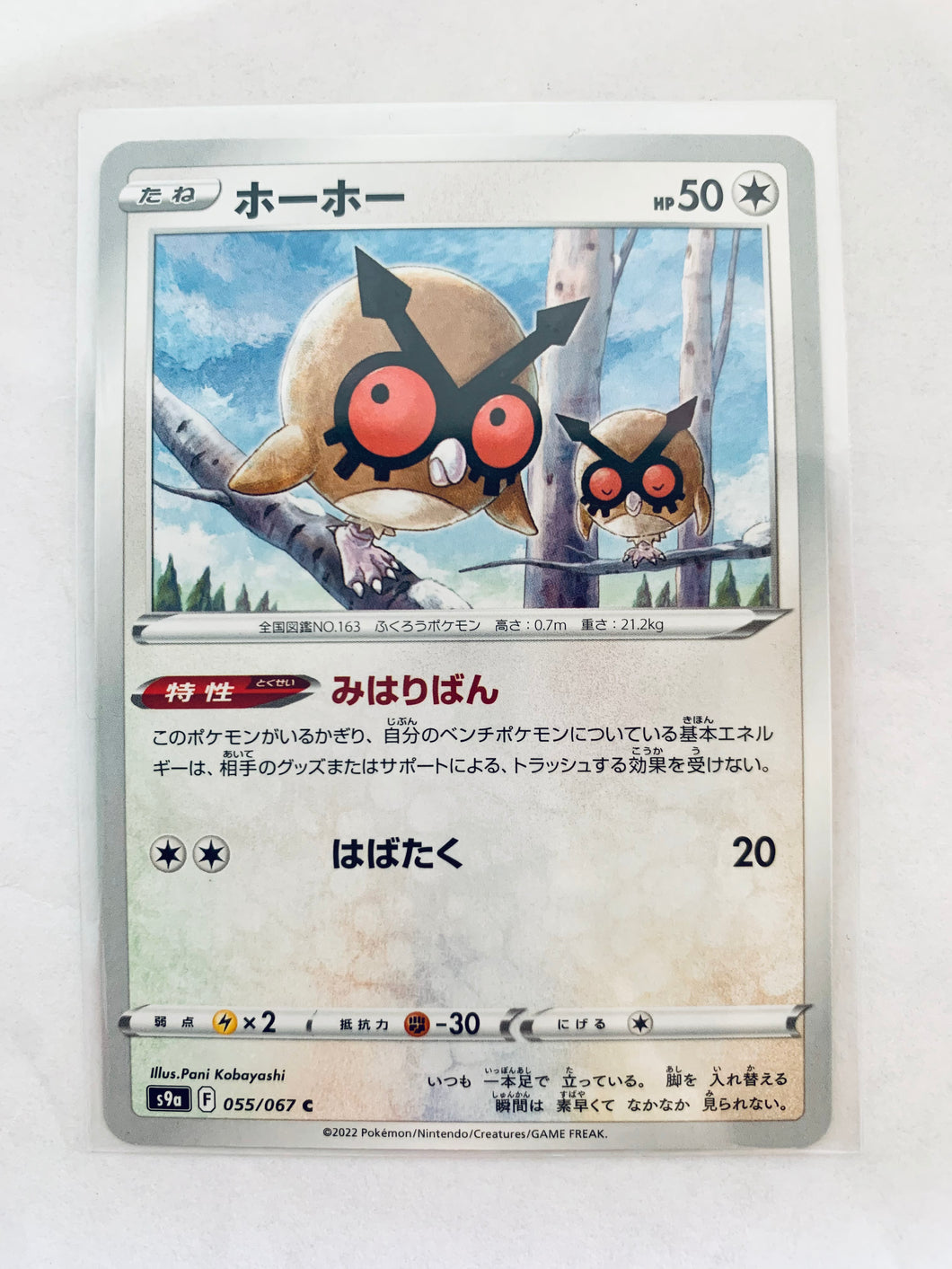 Pokémon Sword & Shield EP Battle Region - Hoothoot - S9a 055/067 C - Common