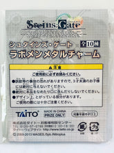 Load image into Gallery viewer, Steins;Gate - Faris Nyannyan - Labmen Metal Charm

