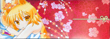 Load image into Gallery viewer, Touhou Project - Chen - Yakumo Ran - Double-sided Stick Poster - Doujin Goods
