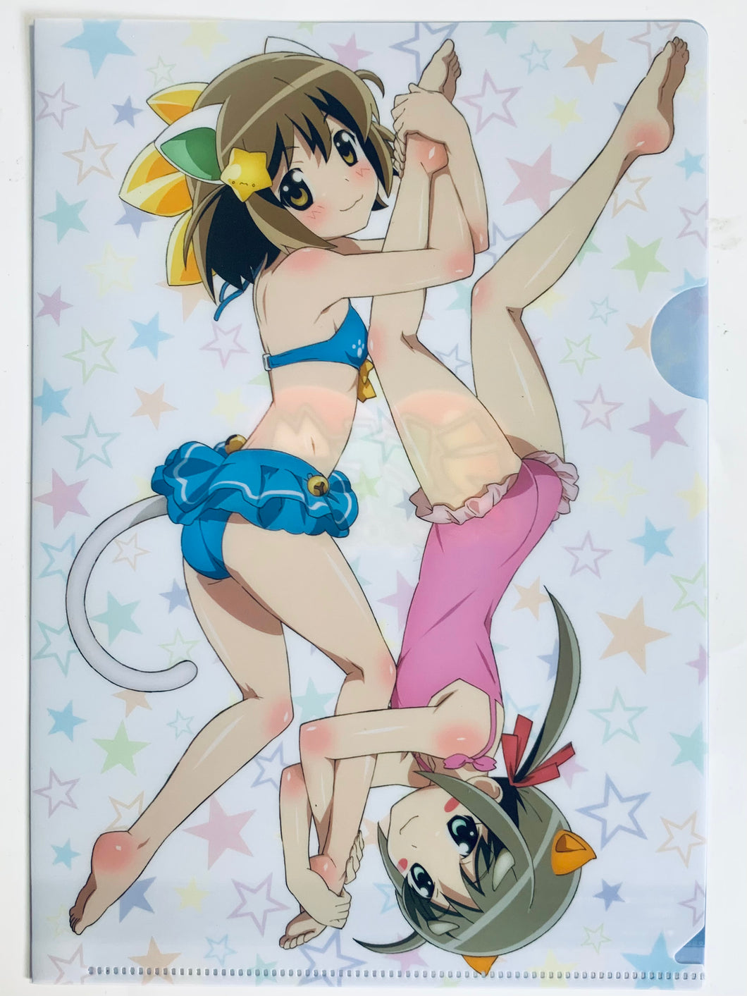 Etotama - Nyaa-tan & Uri-tan - B5 Clear File - Monthly Comic Dengeki Daioh August 2015 Appendix