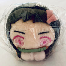 Load image into Gallery viewer, Kimetsu no Yaiba - Kamado Nezuko - Hug Chara Collection 3 - Plush Mascot
