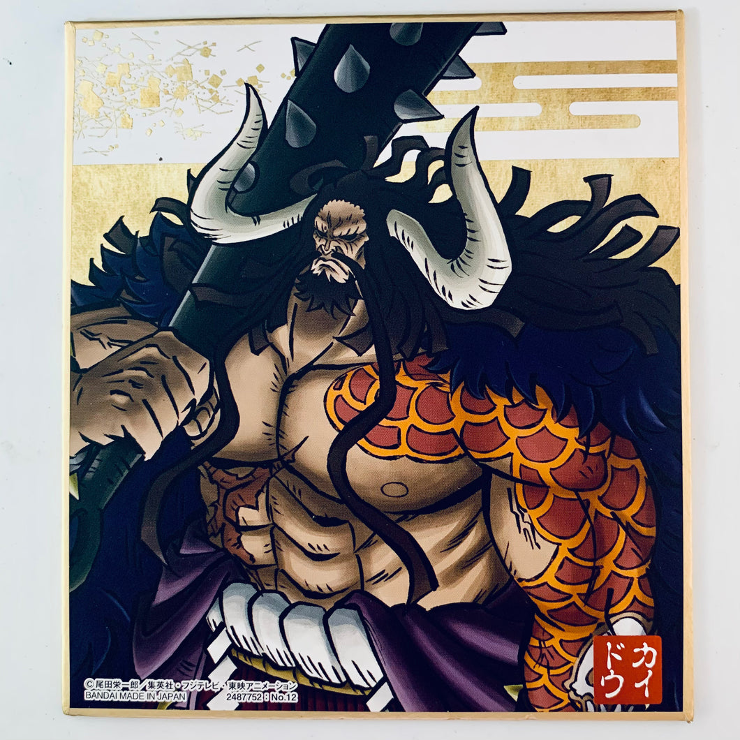 One Piece - Kaidou - Shikishi Art Wano Country