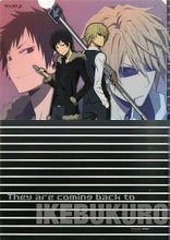 Cargar imagen en el visor de la galería, Durarara!! x2 - Heiwajima Shizuo &amp; Orihara Izaya - A4 Clear File - Animage January 2015
