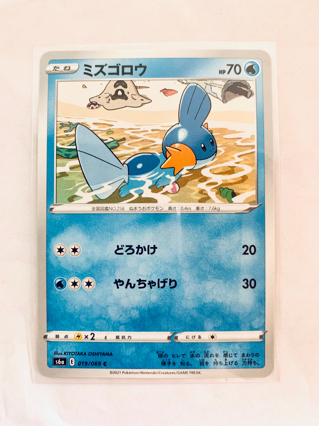 Pokémon Sword & Shield EP Eevee Heroes - Mudkip - s6a 019/069 C - Common