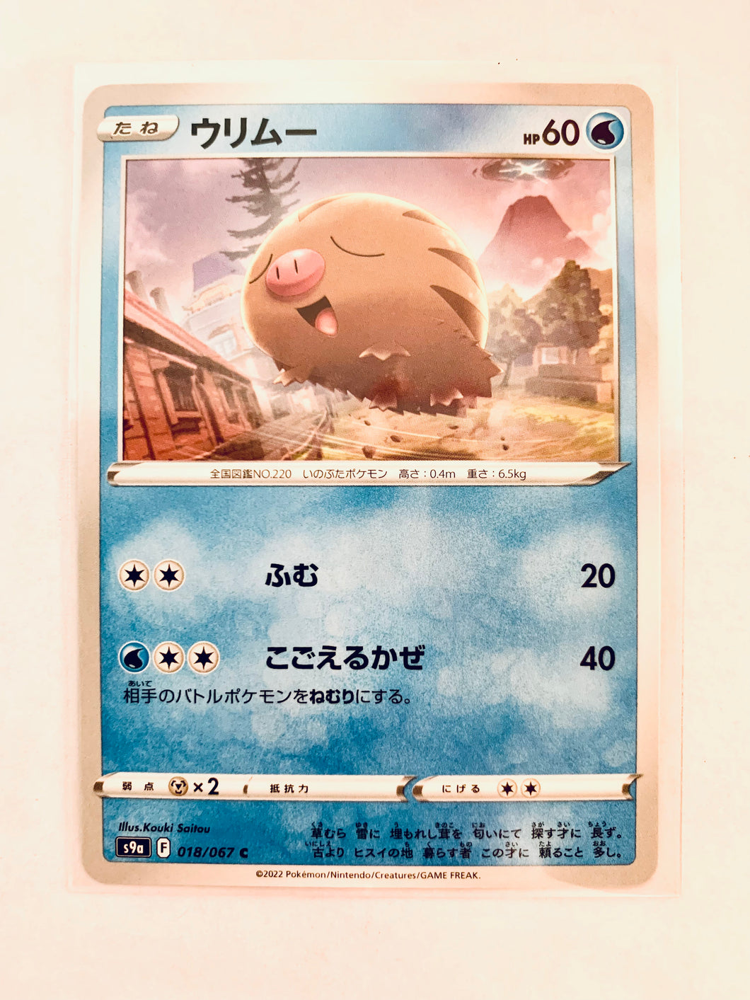 Pokémon Sword & Shield EP Battle Region - Swinub - S9a 018/067 C - Common