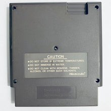Cargar imagen en el visor de la galería, Kung Fu (5 Screw) - Nintendo Entertainment System - NES - NTSC-US - Cart
