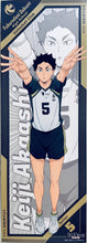 Cargar imagen en el visor de la galería, Haikyuu!! To The Top - Akaashi Keiji - Chara-Pos Collection 3 - Poster
