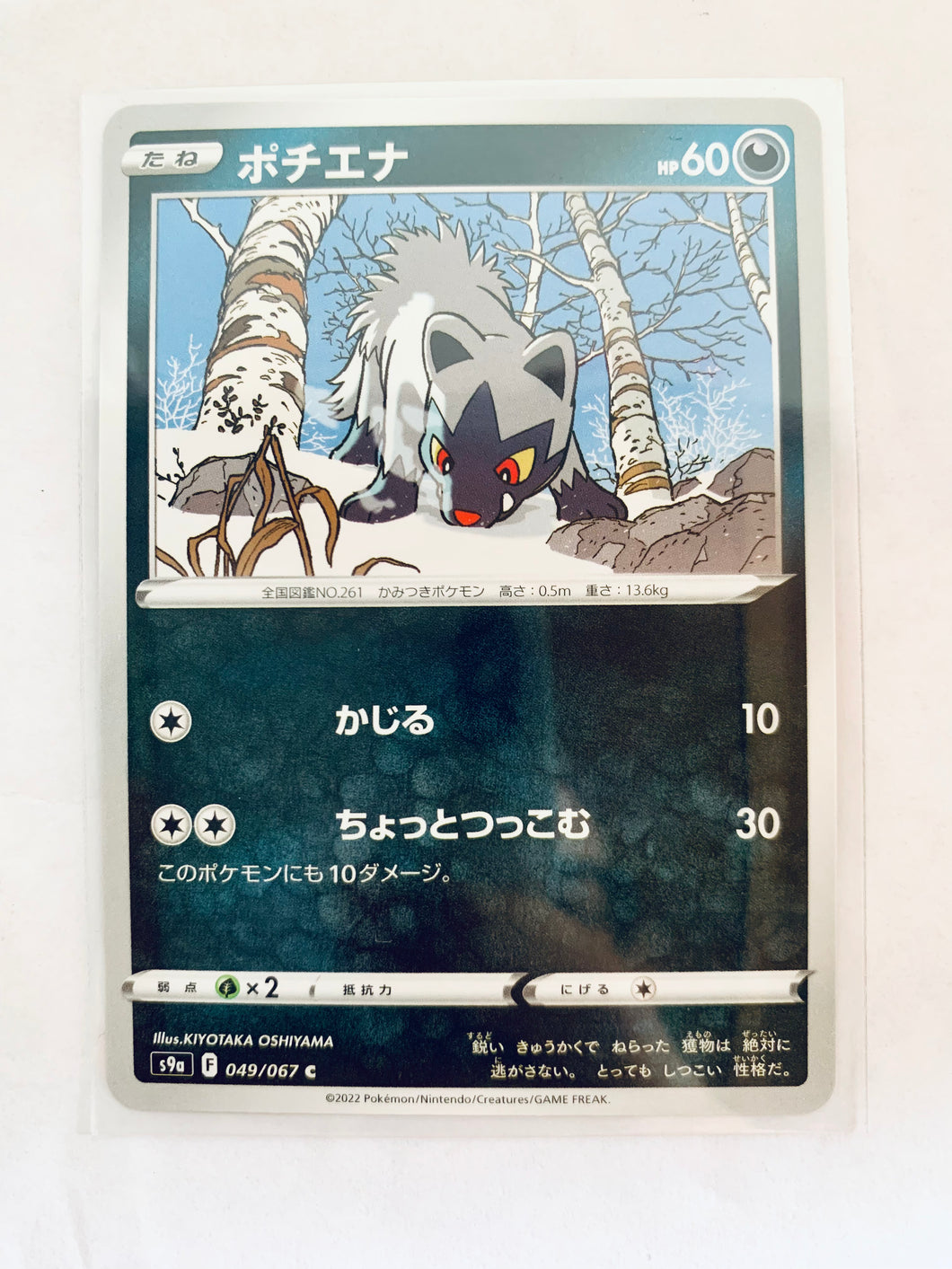 Pokémon Sword & Shield EP Battle Region - Poochyena - S9a 049/067 C - Common