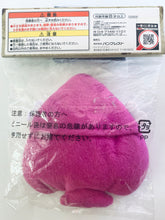 Load image into Gallery viewer, One Piece - Portgas D. Ace - (Pirate Mark) Multi Pouch - Ichiban Kuji OP History of Ace (E Prize)
