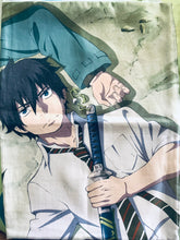 Load image into Gallery viewer, Ao no Exorcist - Okumura Rin - Okumura Yukio - Pillow Case
