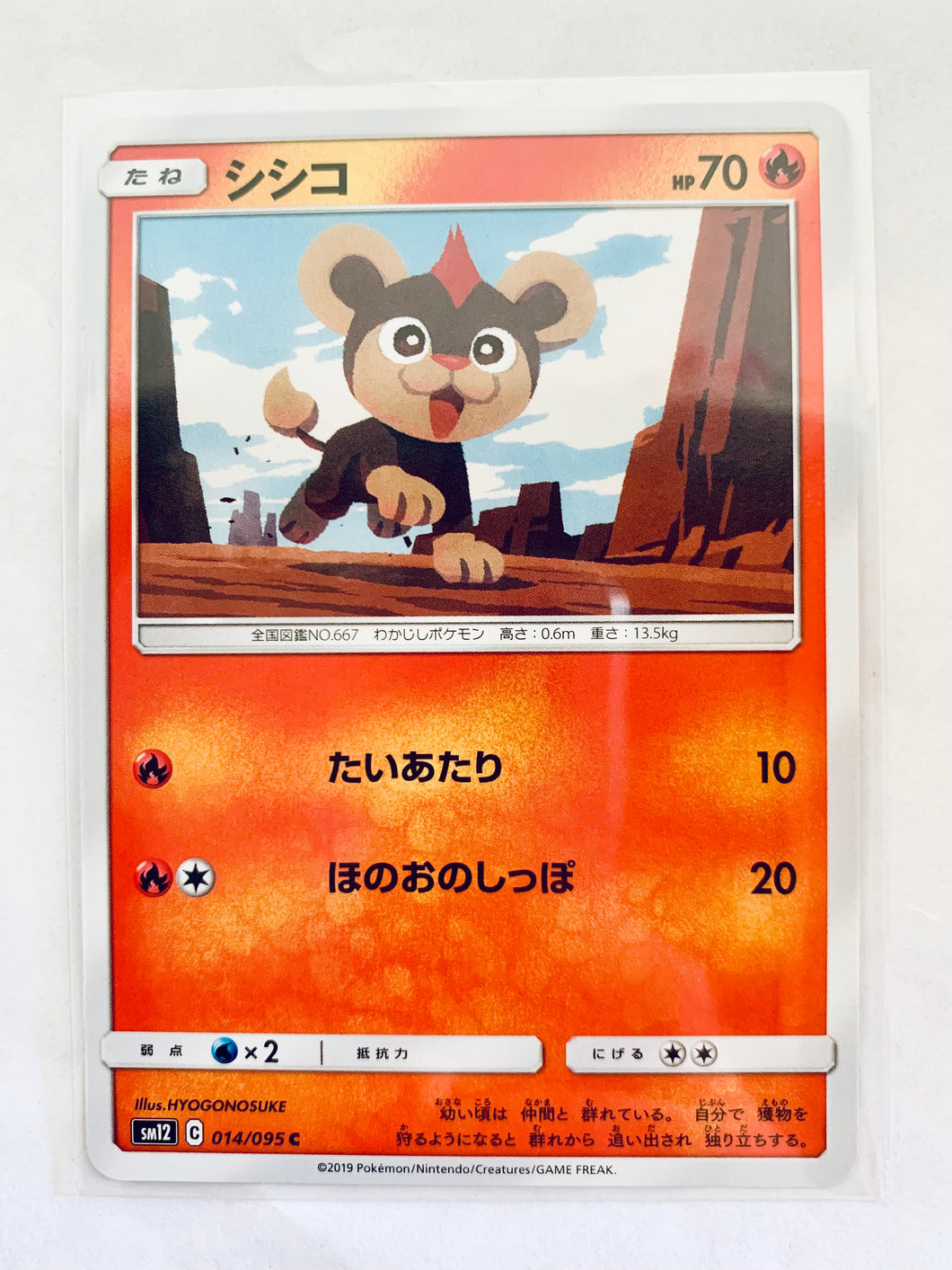 Pokémon TCG Sun & Moon EP Alter Genesis - Litleo - SM12 014/095 C - Common