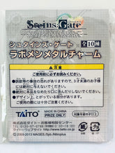 Cargar imagen en el visor de la galería, Steins;Gate - Shiina Mayuri - Labmen Metal Charm
