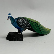 Load image into Gallery viewer, Indian peafowl - Trading Figure - Miniature (02) - Cuchiwaii
