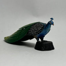 Load image into Gallery viewer, Indian peafowl - Trading Figure - Miniature (02) - Cuchiwaii

