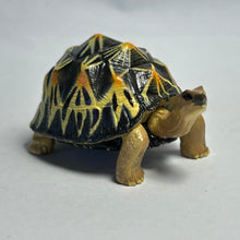 Load image into Gallery viewer, Indian Star Tortoise - Trading Figure - Miniature (08) - Cuchiwaii
