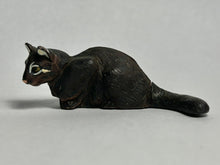 Load image into Gallery viewer, Iriomote Cat - Trading Figure - Miniature (019) - Cuchiwaii
