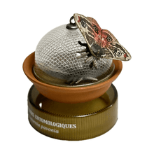 Cargar imagen en el visor de la galería, Japanese Emperor Moth (Saturnia Pavonia) - Mini Figure - Bottle Cap - Cuchiwaii
