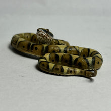 Load image into Gallery viewer, Japanese Mamushi (Pit viper) - Trading Figure - Miniature (134) - Cuchiwaii
