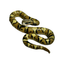 Load image into Gallery viewer, Japanese Mamushi (Pit viper) - Trading Figure - Miniature (134) - Cuchiwaii
