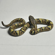 Cargar imagen en el visor de la galería, Japanese pit viper / Mamushi - Trading Figure - Miniature - 134 - Cuchiwaii
