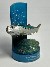 Load image into Gallery viewer, Japanese sardine / Sardinops melanostictus - Trading Figure - Miniature - Cuchiwaii
