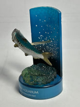 Load image into Gallery viewer, Japanese sardine / Sardinops melanostictus - Trading Figure - Miniature - Cuchiwaii
