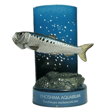 Load image into Gallery viewer, Japanese sardine / Sardinops melanostictus - Trading Figure - Miniature - Cuchiwaii
