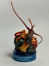 Load image into Gallery viewer, Japanese Spiny Lobster - Figure - Bottle Cap - Cuchiwaii
