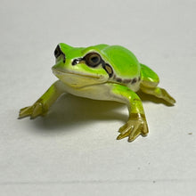 Load image into Gallery viewer, Japanese Tree Frog - Trading Figure - Miniature - 018C - Cuchiwaii

