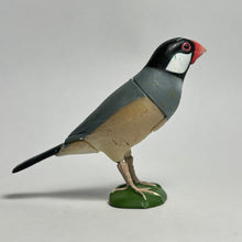 Cargar imagen en el visor de la galería, Java sparrow - Trading Figure - Miniature - 004 - Cuchiwaii
