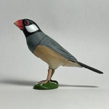 Cargar imagen en el visor de la galería, Java sparrow - Trading Figure - Miniature - 004 - Cuchiwaii
