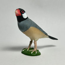 Cargar imagen en el visor de la galería, Java sparrow - Trading Figure - Miniature - 004 - Cuchiwaii
