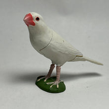 Load image into Gallery viewer, Java sparrow - Trading Figure - Miniature (005) - Cuchiwaii
