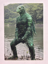 Load image into Gallery viewer, Kamen Rider - Kappa of Chichibu - Trading Card - No. 823 - Cuchiwaii

