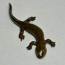 Load image into Gallery viewer, Kasumi Salamander - Trading Figure - Miniature (162) - Cuchiwaii
