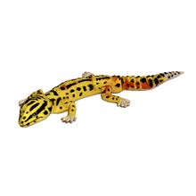 Load image into Gallery viewer, Leopard Gecko - Trading Figure - Miniature - 008 P05 - Cuchiwaii
