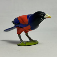 Cargar imagen en el visor de la galería, Lidth's jay - Trading Figure - Miniature (081) - Cuchiwaii
