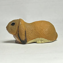 Load image into Gallery viewer, Lop-eared Rabbit - Trading Figure - Miniature - 053 P27-A - Cuchiwaii
