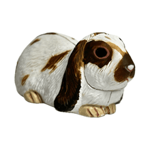 Load image into Gallery viewer, Lop-eared Rabbit - Trading Figure - Miniature - 055 P27-C - Cuchiwaii
