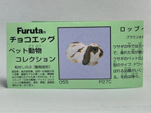Load image into Gallery viewer, Lop-eared Rabbit - Trading Figure - Miniature - 055 P27-C - Cuchiwaii
