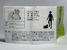 Load image into Gallery viewer, Maltese dogs - Trading Figure - Miniature (17) - Cuchiwaii
