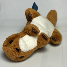 Cargar imagen en el visor de la galería, Misaki Park Souvenir: Otter Birthday Keychain Plush Toy - Cuchiwaii
