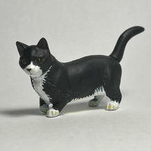 Cargar imagen en el visor de la galería, Munchkin cat - Trading Figure - Miniature - 69 P32B - Cuchiwaii
