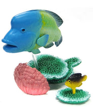 Load image into Gallery viewer, Napoleonfish - Trading Figure - Minifigure - Cuchiwaii
