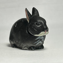 Load image into Gallery viewer, Netherland Dwarf rabbit - Trading Figure - Miniature - 021 P11-A - Cuchiwaii
