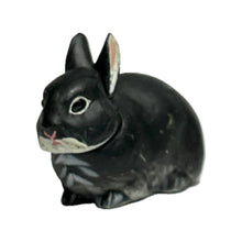 Load image into Gallery viewer, Netherland Dwarf rabbit - Trading Figure - Miniature - 021 P11-A - Cuchiwaii
